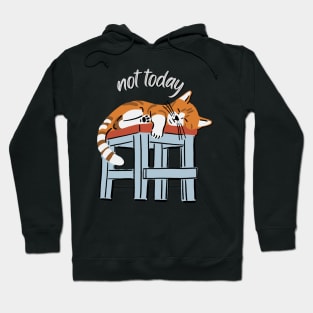 Lazy Cat Nope not Today funny sarcastic messages sayings and quotes Hoodie